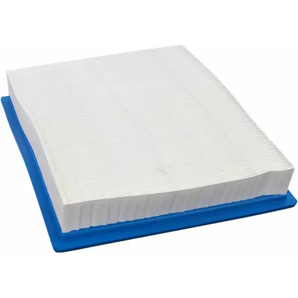 Air Filter Filter Rzr900 3-15-13