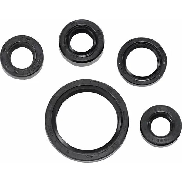 Seal Oil Set Drz200 822226Mse