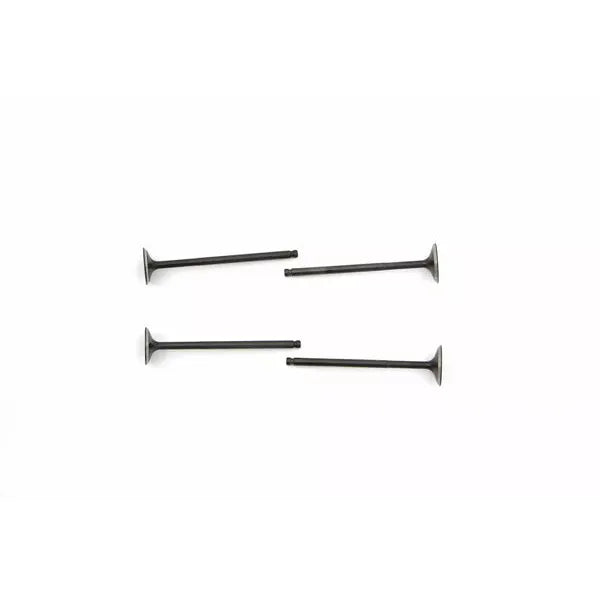 Cylinder Head Valves Nk600.83