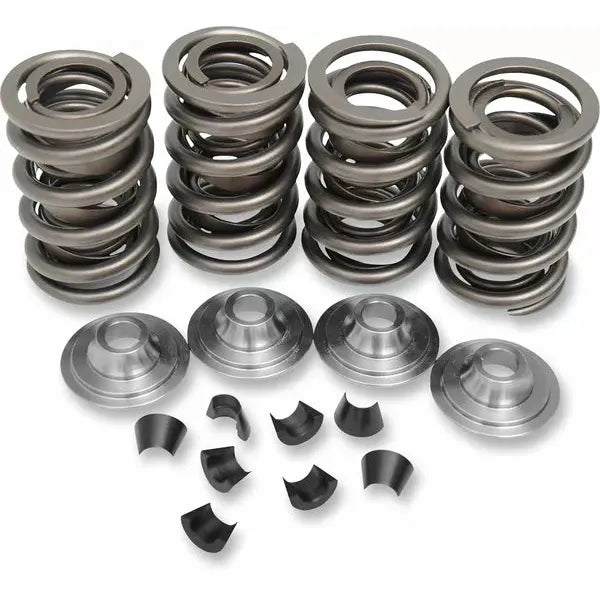 Spring Kit Vlv Oe 48-65Bt 20-20430