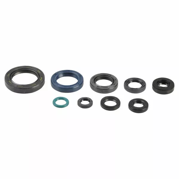 Engine Oil Seals Kit P400210400126