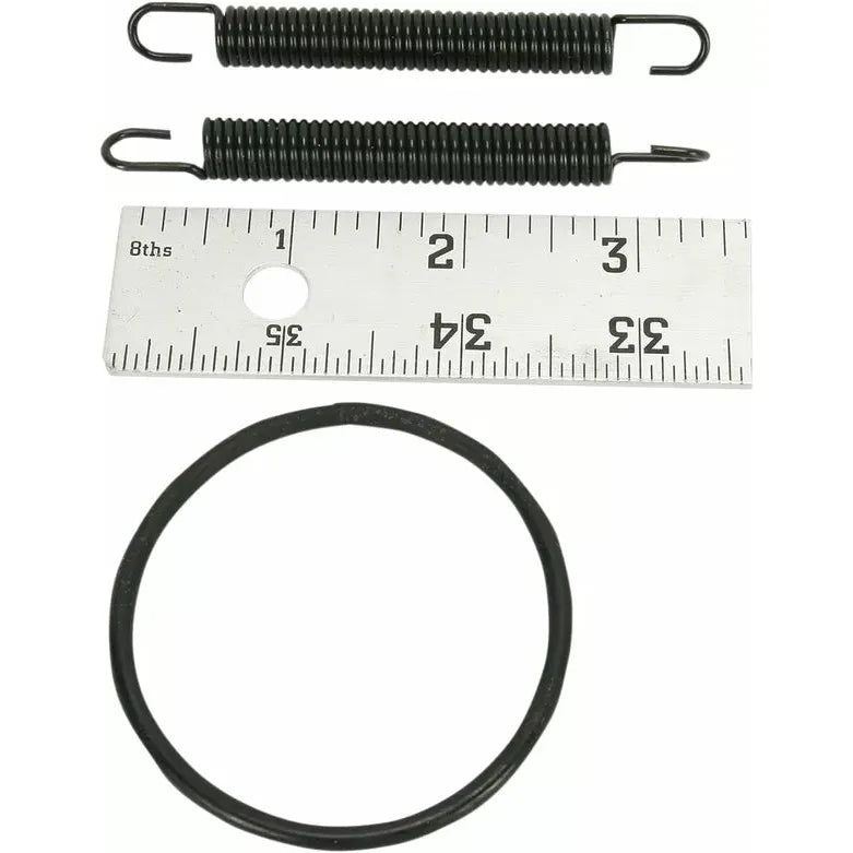 Spring/O-Ring Kit 250R 011385