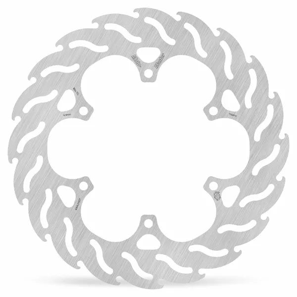 Brake Disc Flame Rear 110419