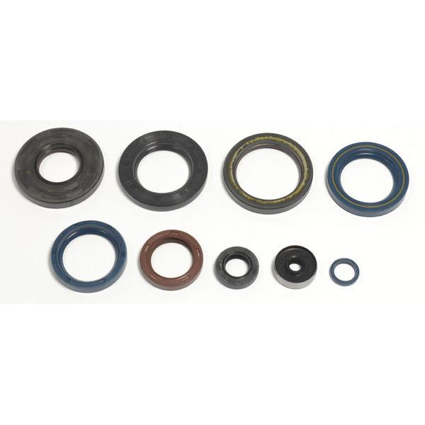 Engine Oil Seals Kit P400270400220