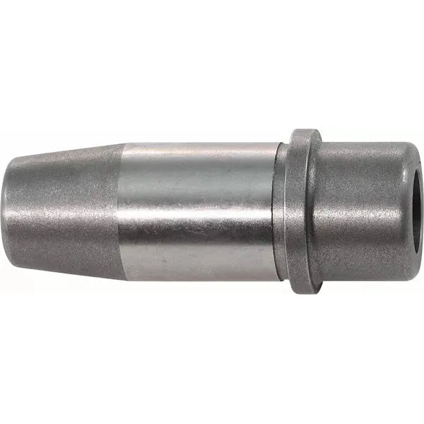 Guide Vlv L79-84Bt+.004Ci 20-2064C