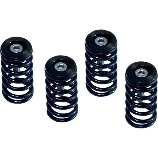 Clutch Sprg Wblk Ducati