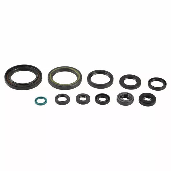 Engine Oil Seals Kit P400210400064