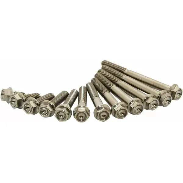 Titanium Bolt M6X10 Pack Of 2 Stim6X1002