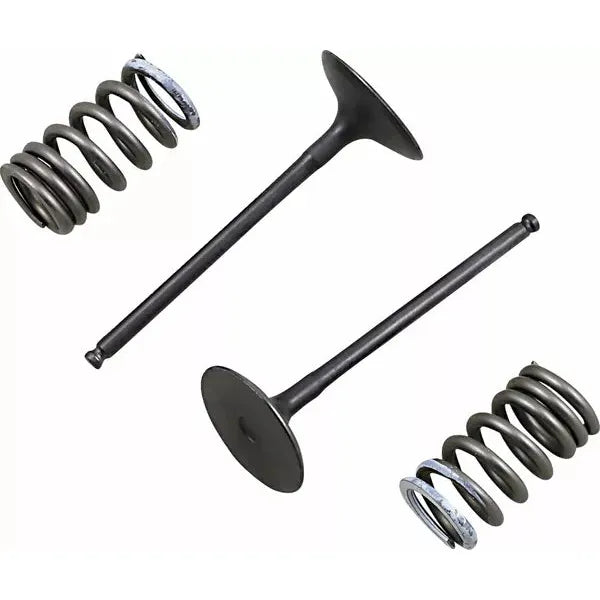 Valve In/Spring Kit Rm-Z250 28.Sis3338-2