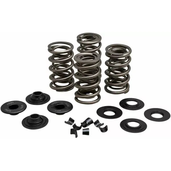 Spring Kit .650"Vl Evo/Tc 20-21650