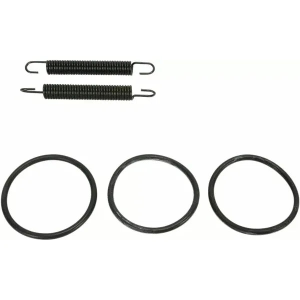 Spring/Oring Kit Yz125 011315
