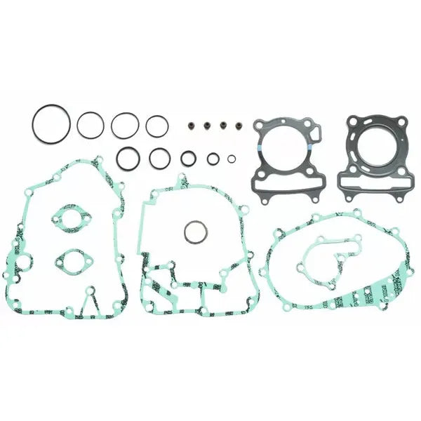 Gasket Kit Complete P400210870281