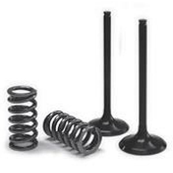 Valve Ex/Spring Kit Exc-F 28.Ses6334-1