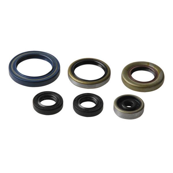 Engine Oil Seals Kit P400270400013