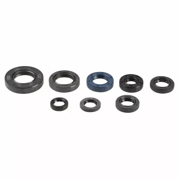 Engine Oil Seals Kit P400210400082