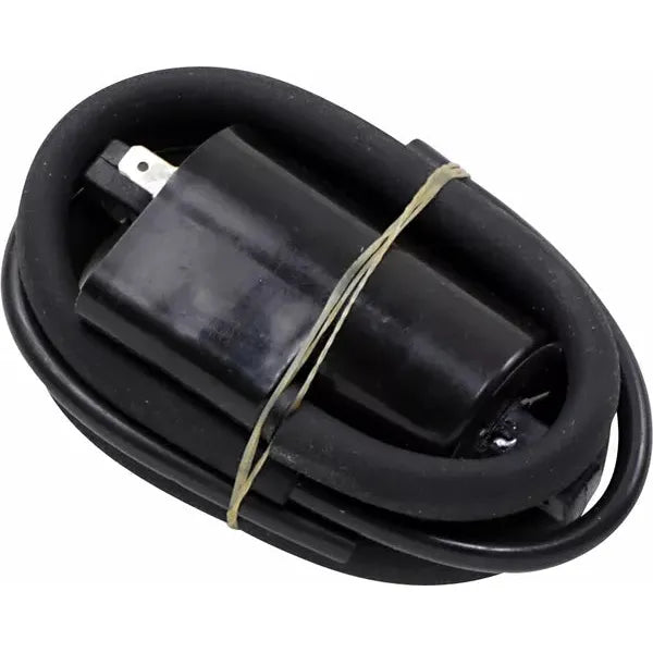 Coil Suzuki 23-302 23-302