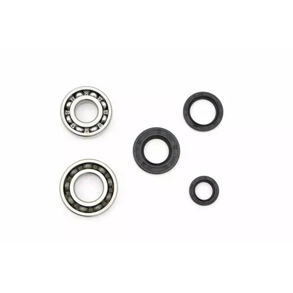 Crankshaft Bearings Nk100.69