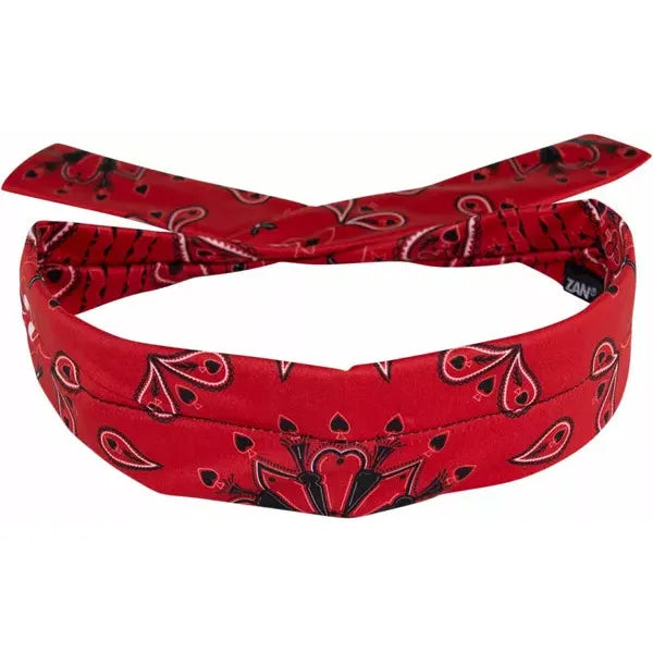Cooldanna Poly Rd Paisley Dp106