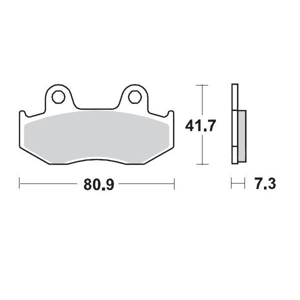 Brake Pad Racing 090411
