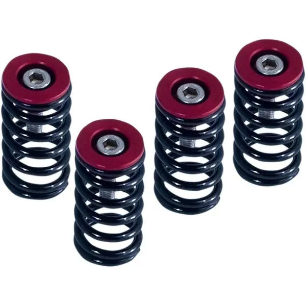 Clutch Sprg Wred Ducati