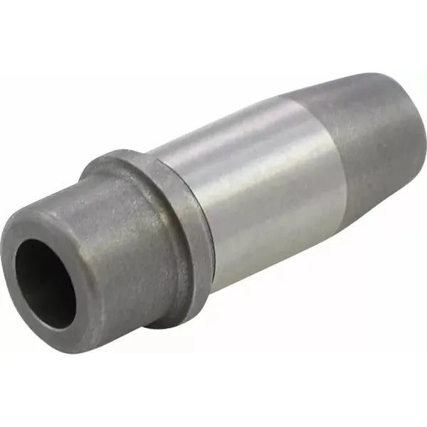 Guide Vlv L79-84Bt+.005Ci 20-2055C