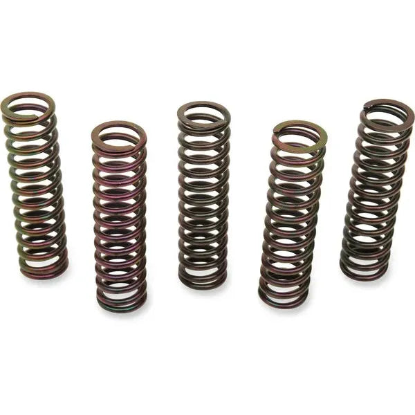 Clutch Spring Kit Suz
Mtmt
