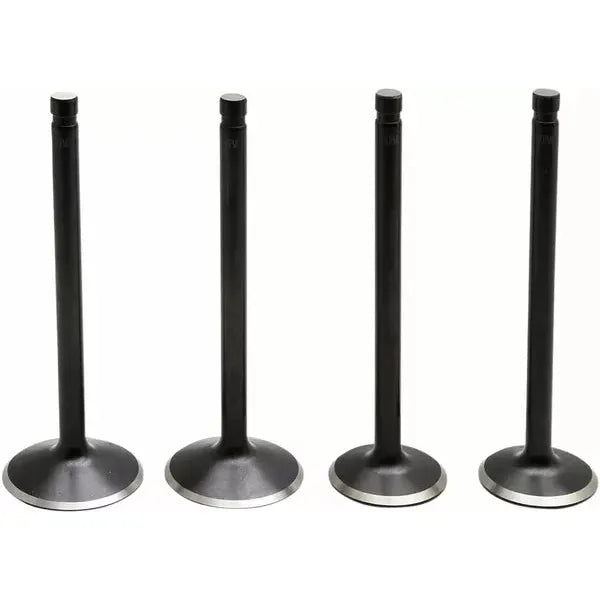 Valve Kit 86-03 Evo/883 20-22700