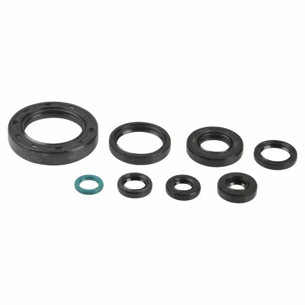 Engine Oil Seals Kit P400210400252