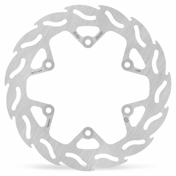 Brake Disc Flame Rear 110225