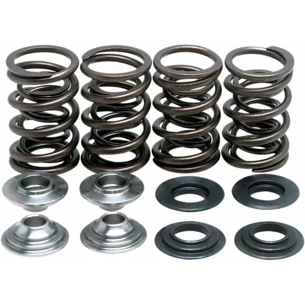 Spring Kit, Drz400 60-60045
