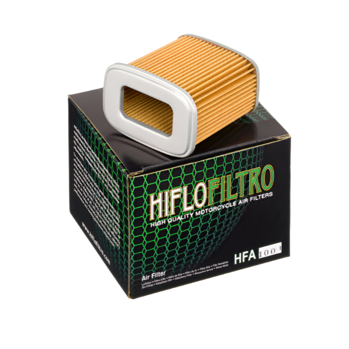 HFA1001 Air Filter