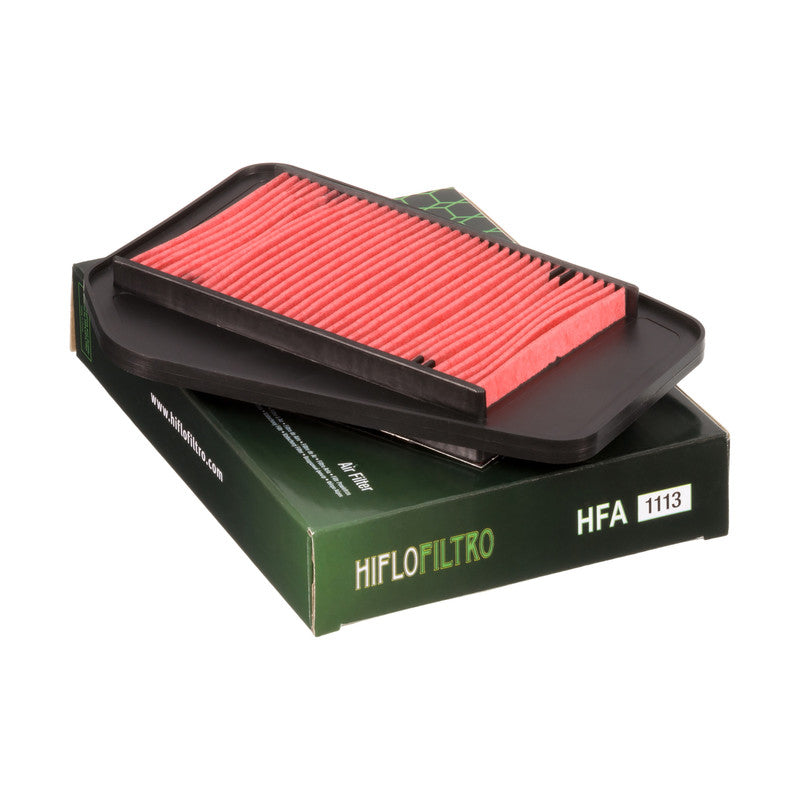 HFA1113 Air Filter