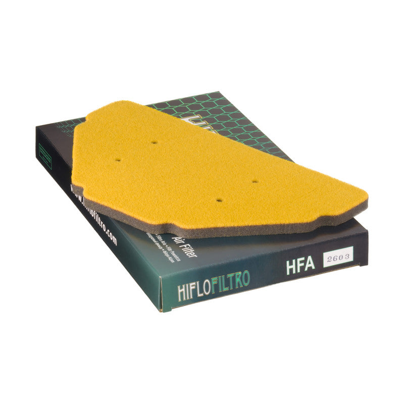 HFA2603 Air Filter