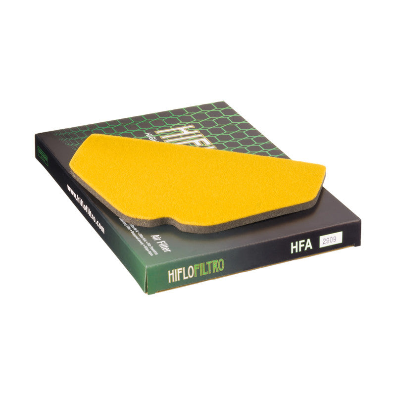 HFA2909 Air Filter
