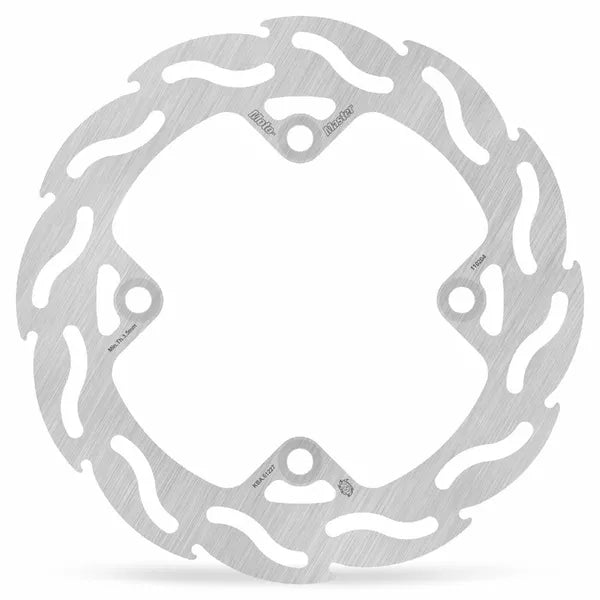 Brake Disc Flame Rear 110204