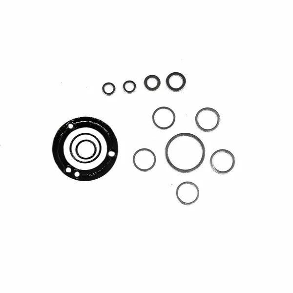 Crankcase Gasket Kit P400110300999