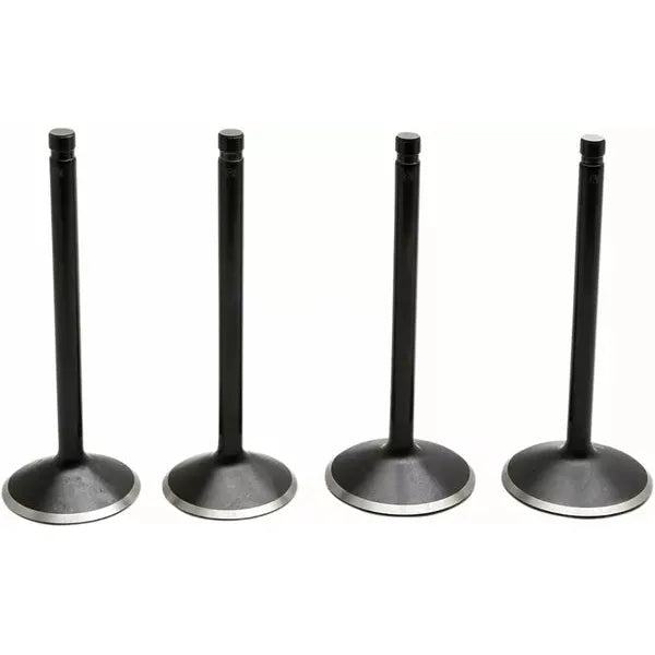 Valve Kit 84-98 Evo 20-22600