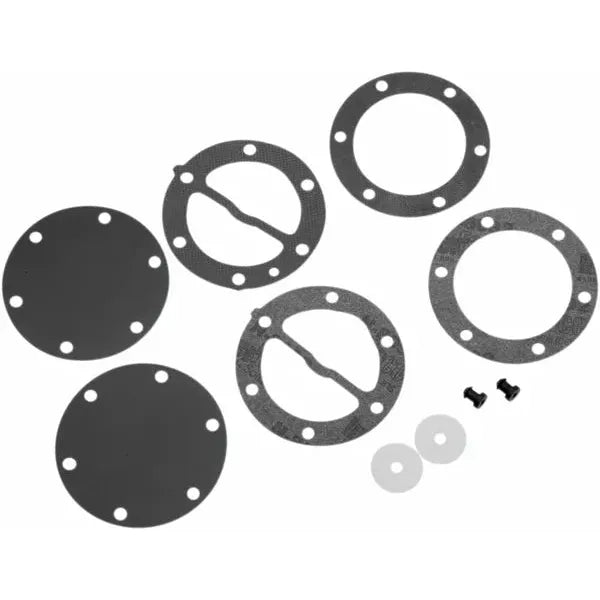Fuel Pump Repair Kit 451455
