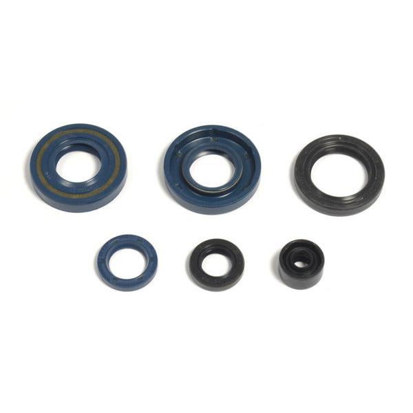 Engine Oil Seals Kit P400250400061