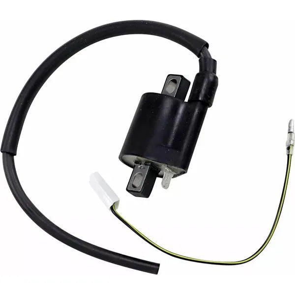 Coil Suzuki 23-301