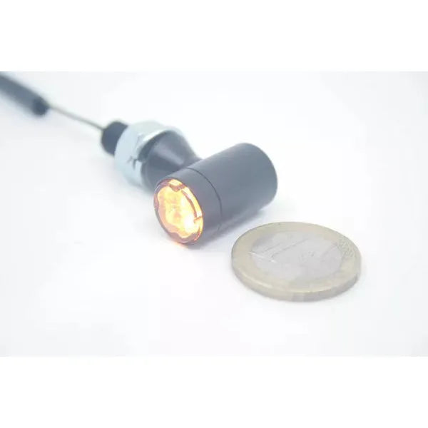 Turnsignals Led E-Mark 013222011