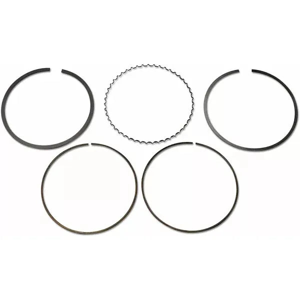 Piston Ring Set S41316062