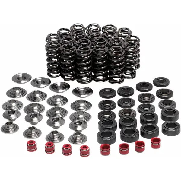 Valve Spring Kit Yzfr1 80-80250