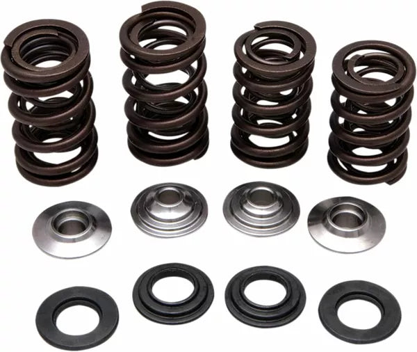 Spring Kit 06-08 Trx450R 30-30920