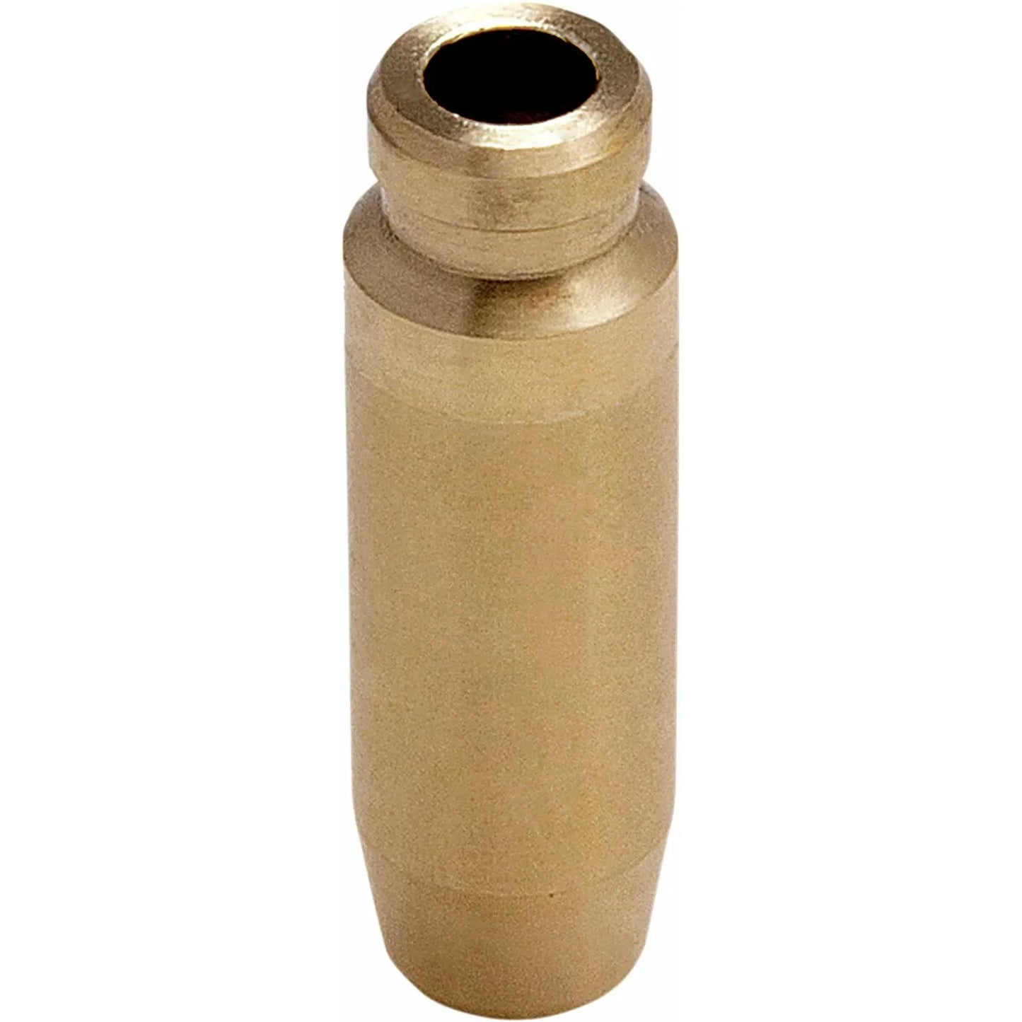 Guide Vlv Int Std Rzr1000 82-82370