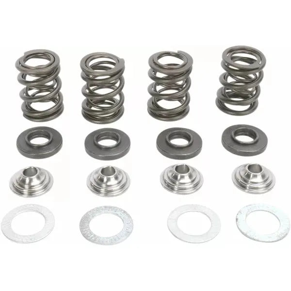 Spring Kit Ktm 450/540 96-96000
