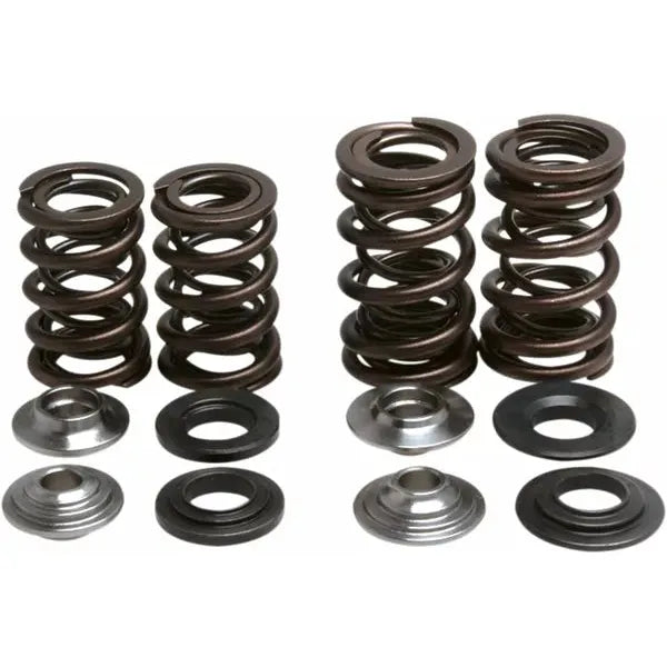 Spring Kit Valve Trx450R 30-30720
