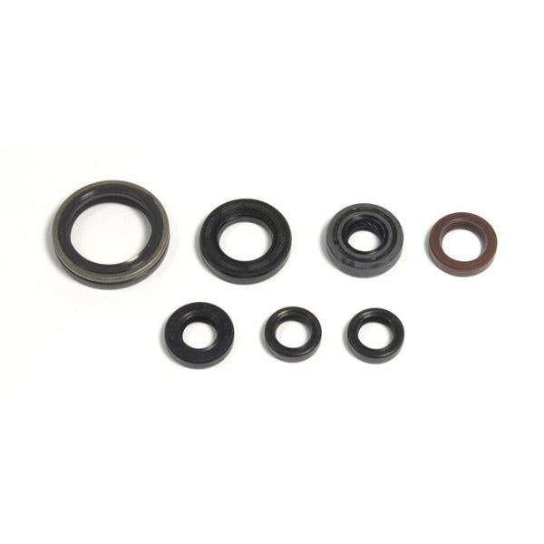 Engine Oil Seals Kit P400485400039