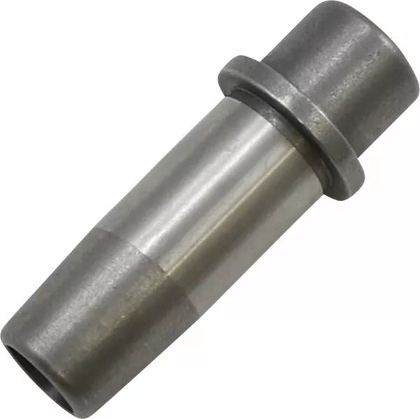 Guide Vlv L79-84Bt+.005Ci 20-2065C