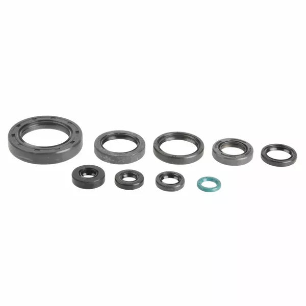Engine Oil Seals Kit P400210400250